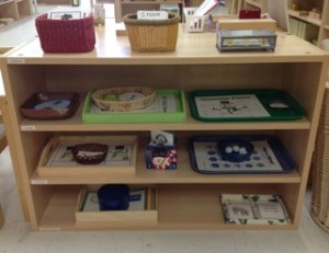Pre-Literacy Shelf in January