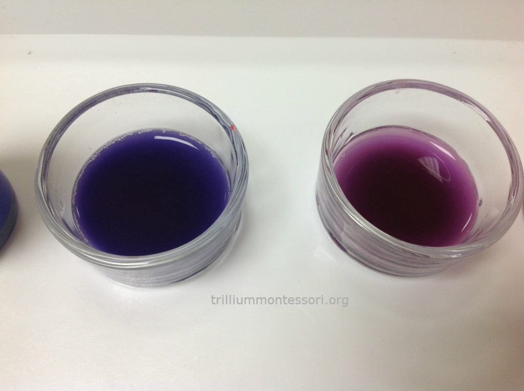 Indigo and Violet Color Mixing Trillium Montessori