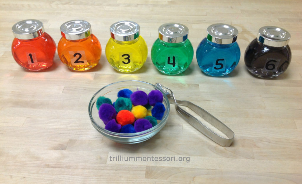Rainbow Counting Trillium Montessori