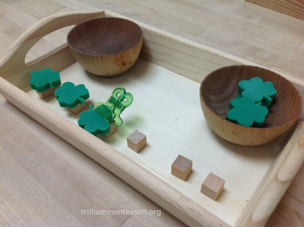 Balancing Shamrocks- Trillium Montessori