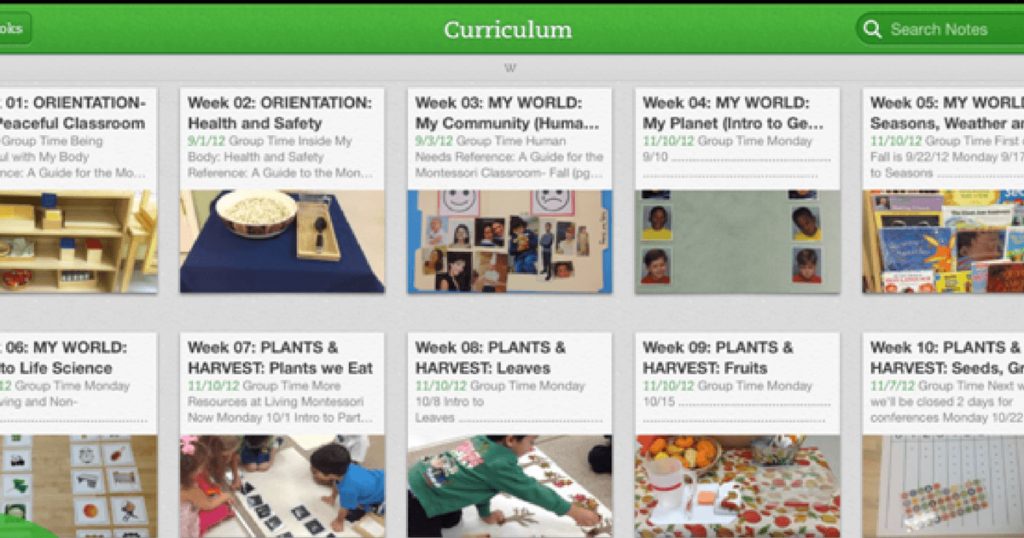 Curriculum planning for Montessori teachers