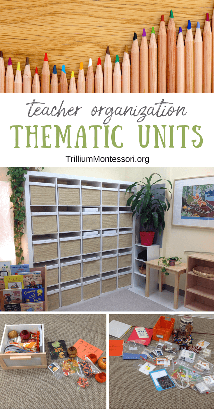 Organizing classroom storage for thematic units 