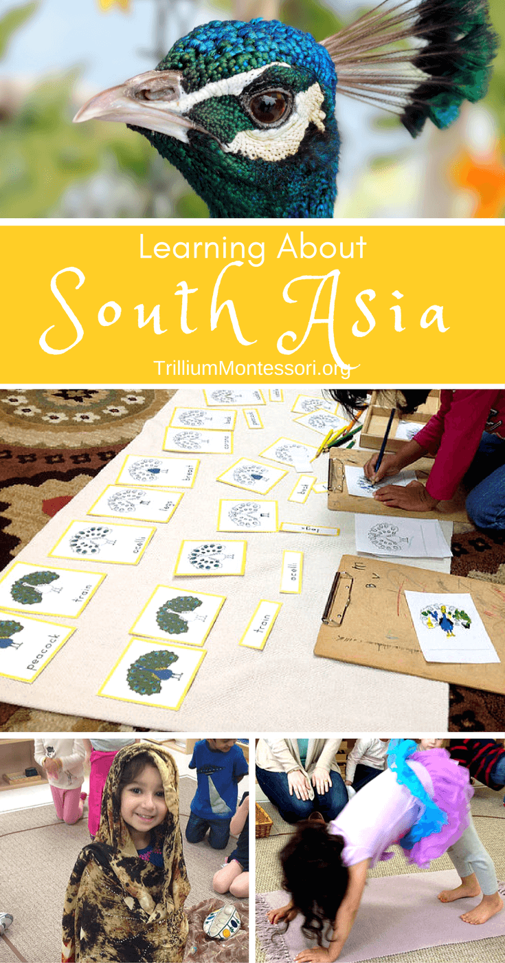 Preschool activities for learning about South Asia