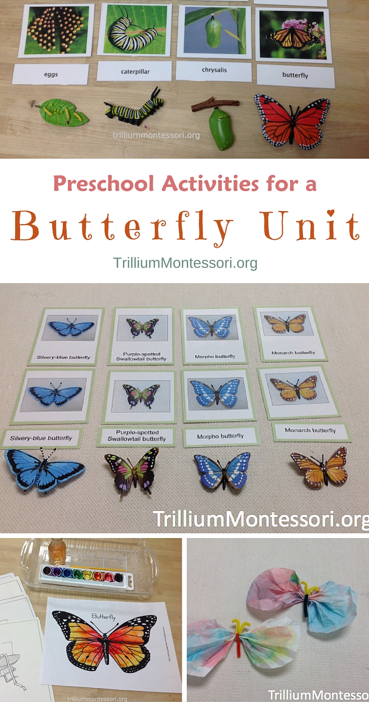 Preschool Activities for a Butterfly Unit