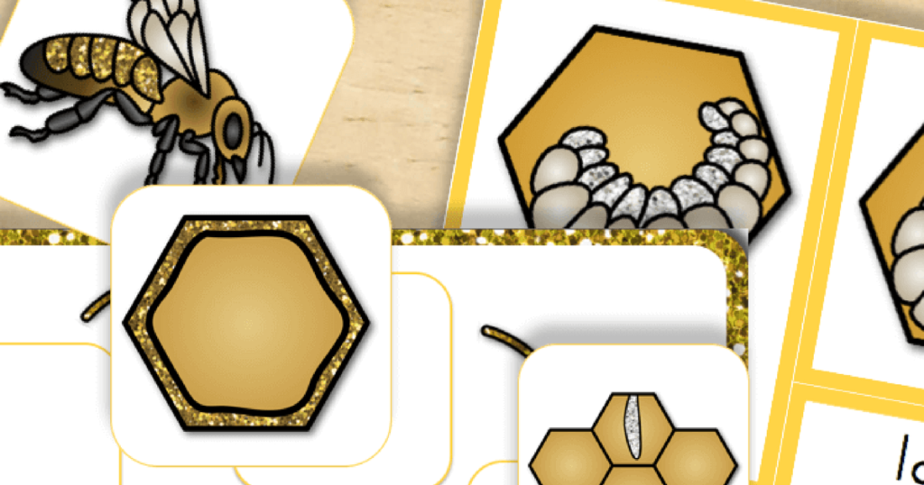Free Printable Life Cycle of a Honey Bee