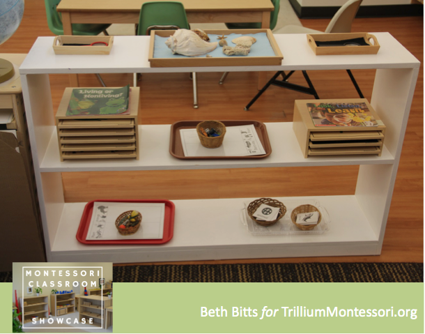 Montessori Classroom Showcase Beth Bitts Cultural 3