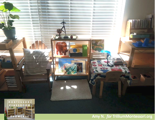 Montessori Classroom Showcase Series Book area and listening station
