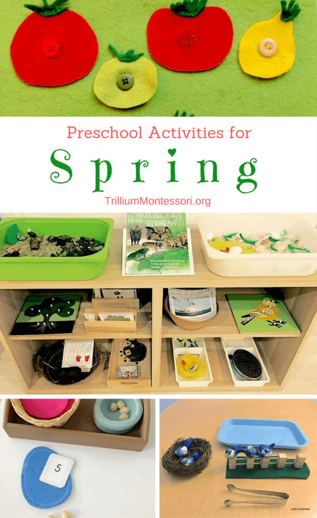 15+ activities and ideas for a spring theme in your Montessori inspired preschool classroom. Learn about birds, plants, bugs, and more.