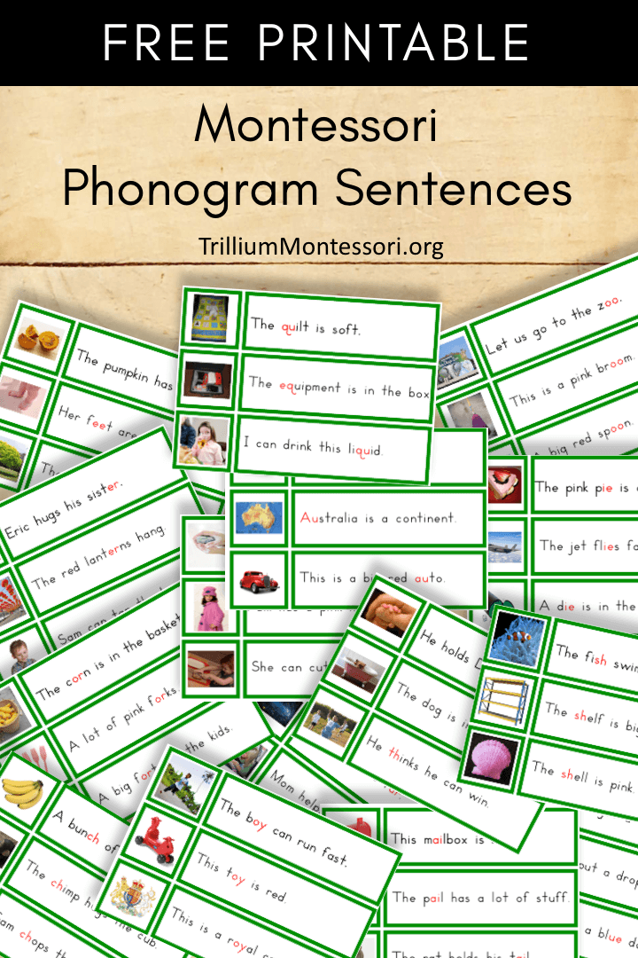 Free Printable Montessori Phonogram Sentences