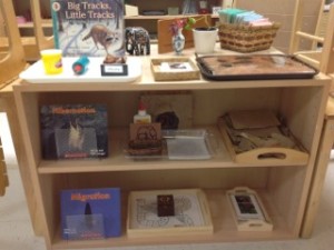 Montessori January Shelf