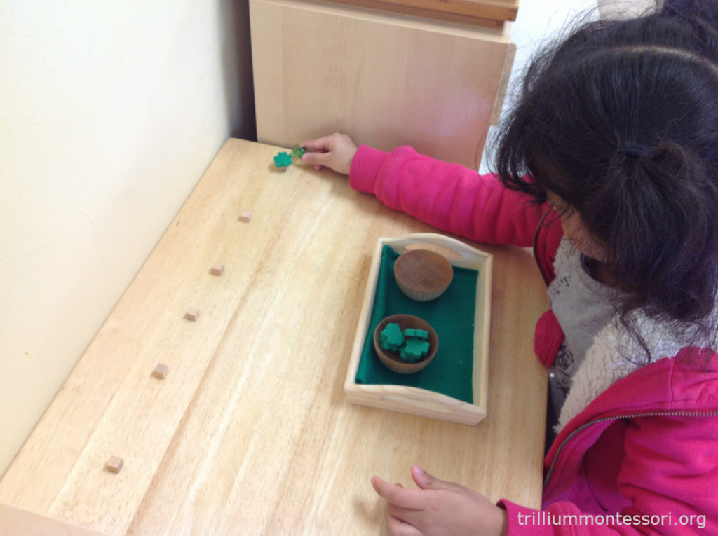 Balancing Shamrocks Trillium Montessori