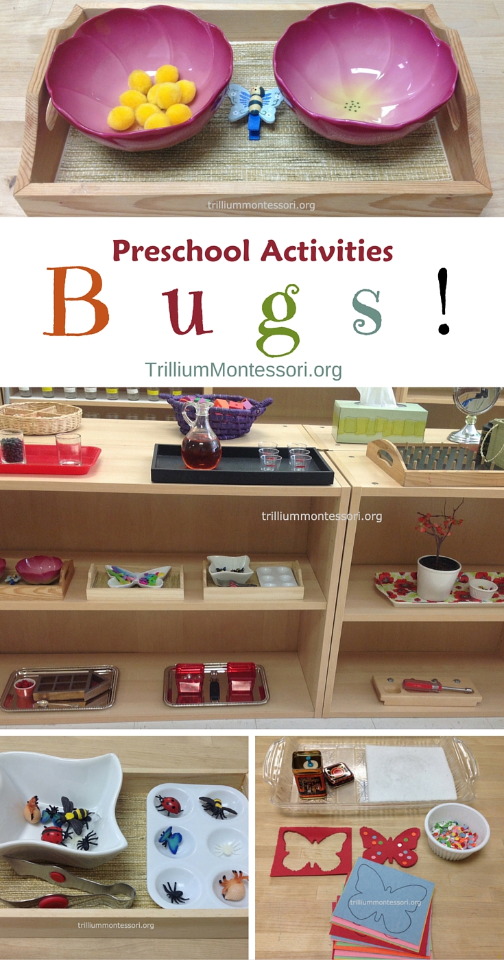 Preschool fine motor and art activities for a bugs unit