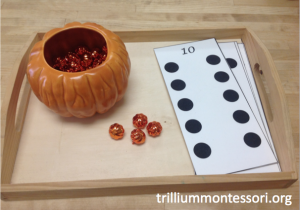 Counting Mini Pumpkins