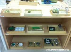 Fine Motor Shelf with green contents