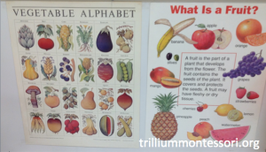 Fruit and Vegetable Poster