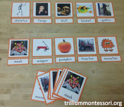 Halloween and Fall Theme Montessori Phonetic Reading 3 Part Cards