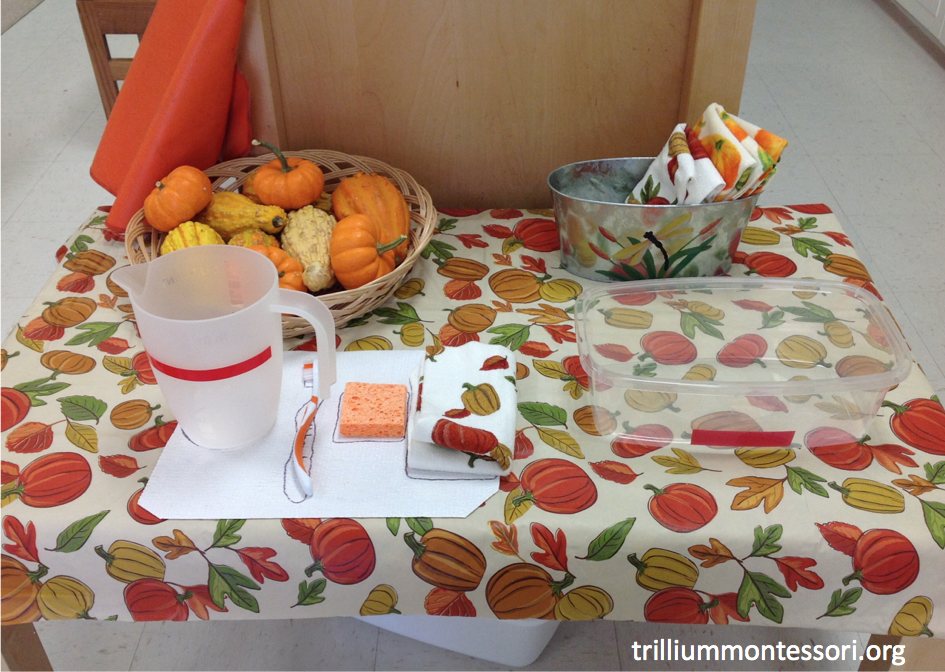 October Gourd Pumpkin Washing Montessori Practical Life
