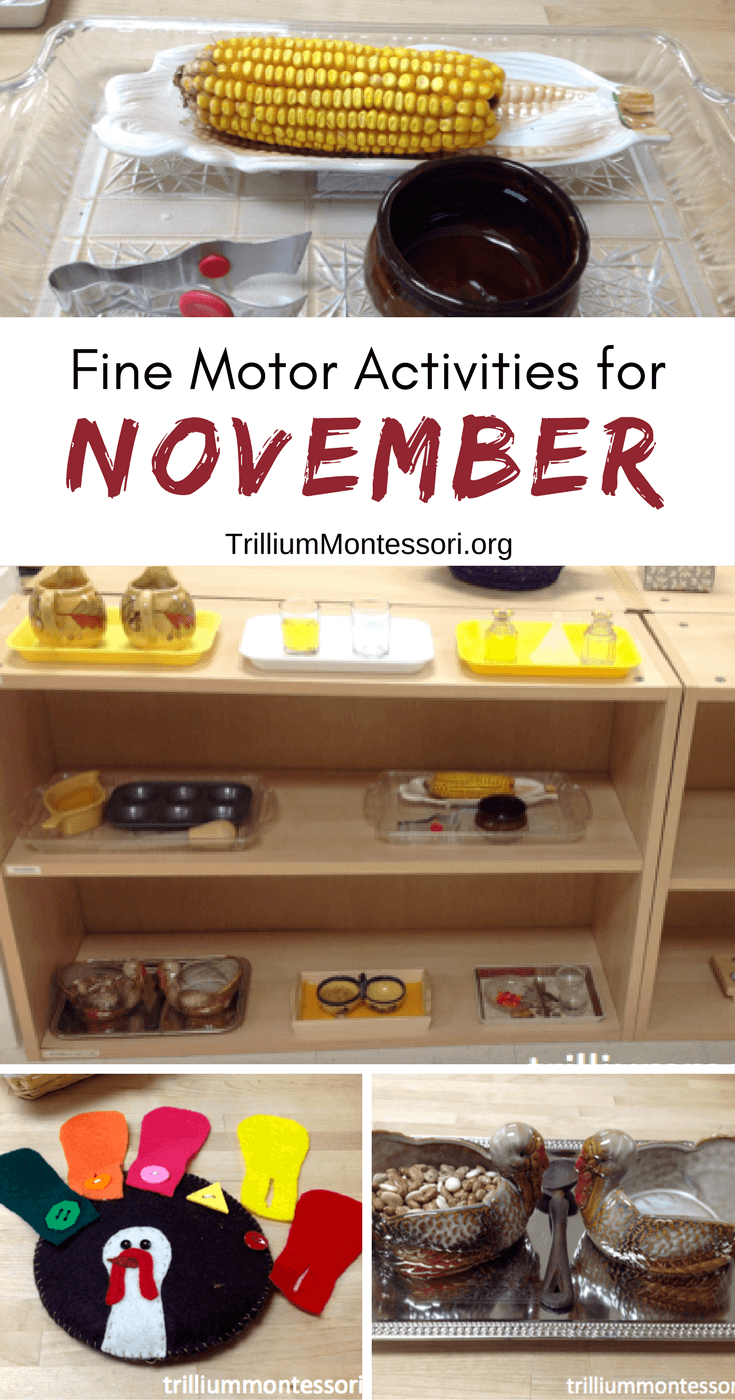 Preschool and fine motor activities for November and fall theme