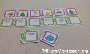 Spring Theme Question Cards