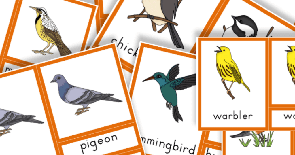 Free Printable Common Birds