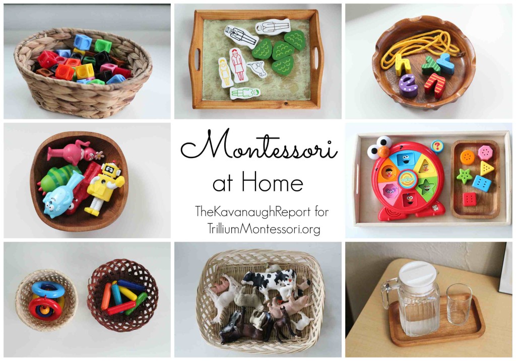 Montessori at Home Kavanaugh Report