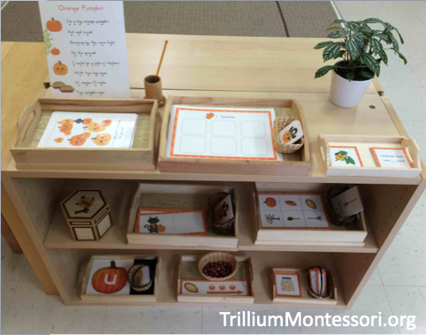 Pumpkin Patch Phonological Awareness Shelf in a Montessori Classroom