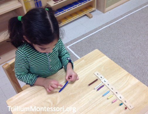 Montessori Bead Stair Counting