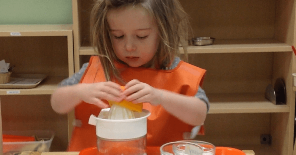 Resources for those interested in pursuing Montessori training