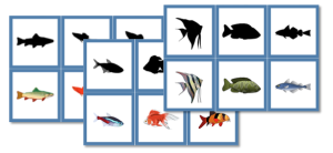 Fish Shadow Matching Cards