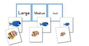 Fish Size Sorting Cards