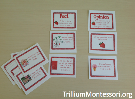 Strawberry Patch Fact or Opinion Cards