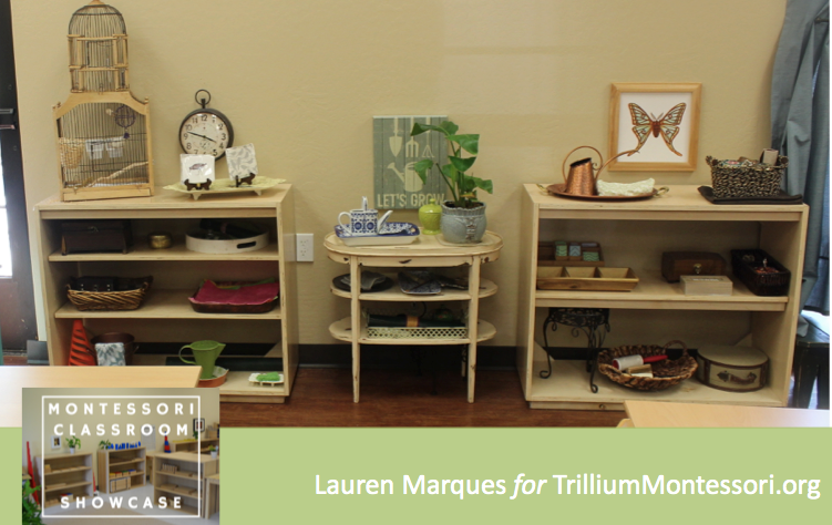 Lauren Marques Montessori Classroom Showcase 5