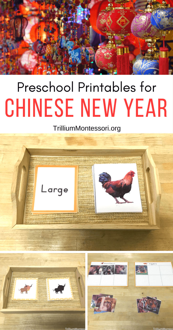 Preschool Activities and Printables for Chinese New Year