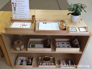 Fall Early Language Shelves from Trillium Montessori