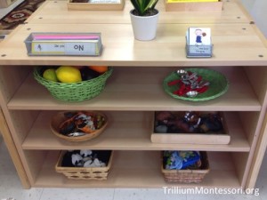 Object Matching Early Language Shelves from Trillium Montessori.