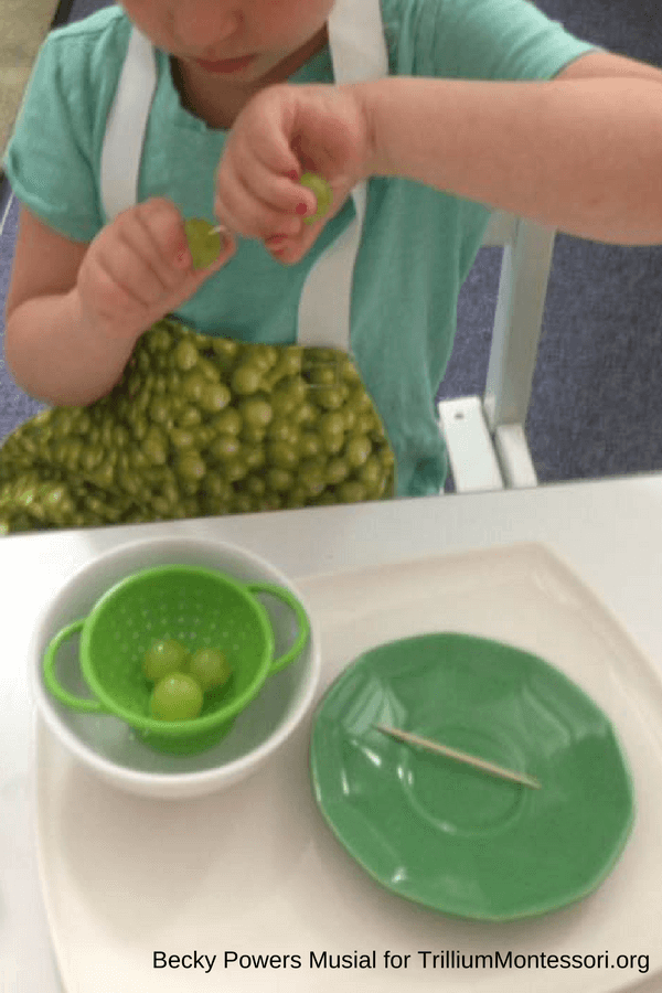Montessori Food Preparation and Cooking Grapes