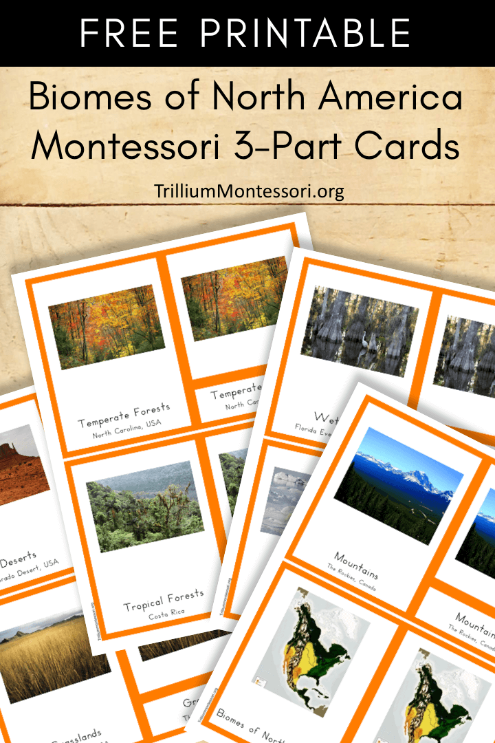 Free Printable Biomes of North America Montessori 3 part Cards