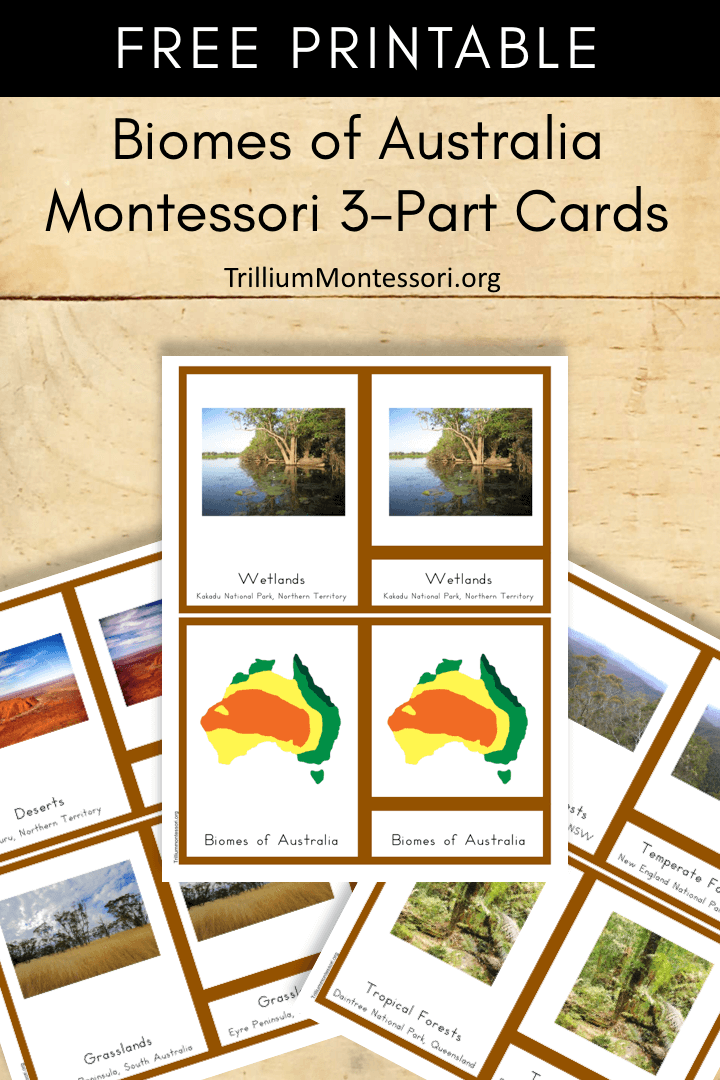 Free Printable biomes of Australia Montessori 3 part Cards
