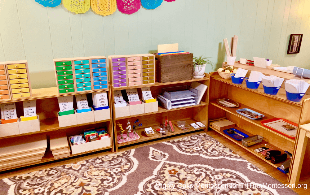 Erin's Montessori Classroom Setup Language Shelves
