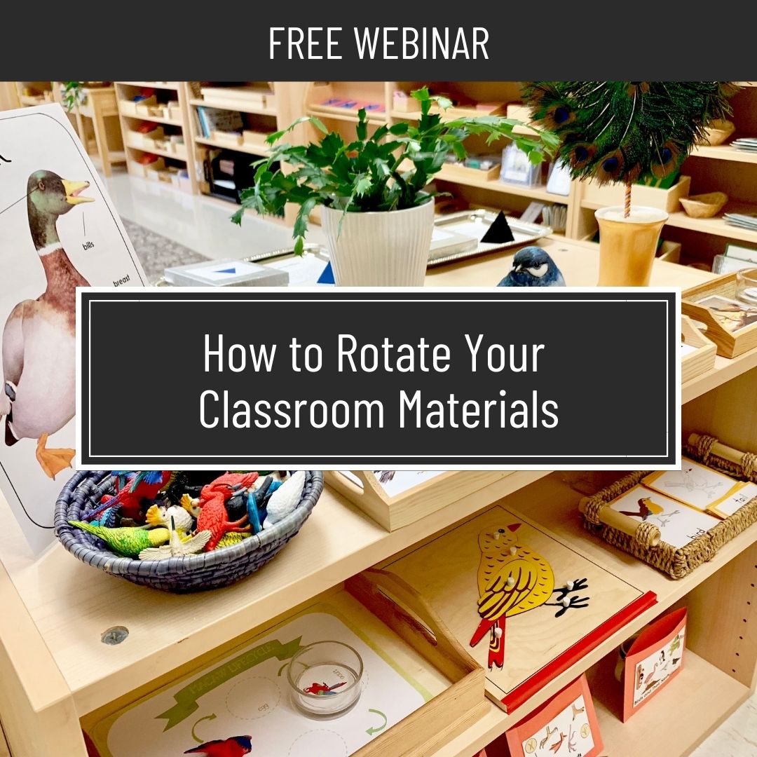 Phonological awareness and phonemic awareness are about the sounds in spoken language