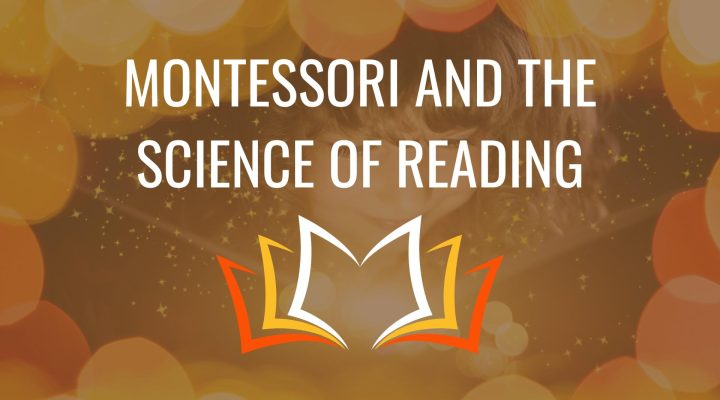 Image text: Montessori and the Science of Reading. Image shows a brown and orange background with "Montessori and the Science of Reading" in white text. A line graphic of an open book is below the text.