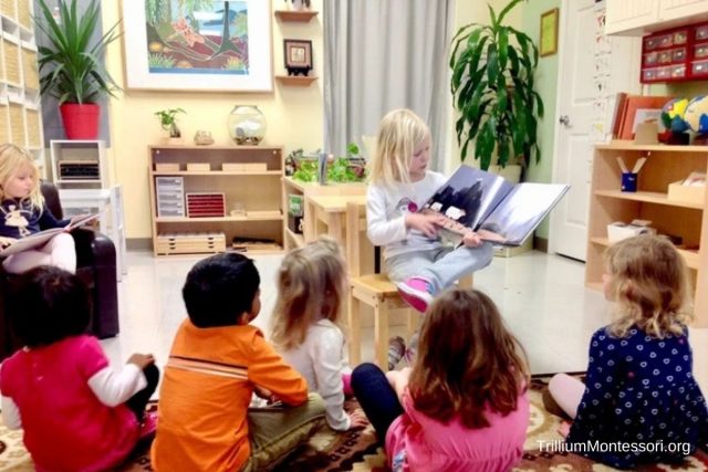 KEY ELEMENTS OF MONTESSORI EDUCATION visual data 3