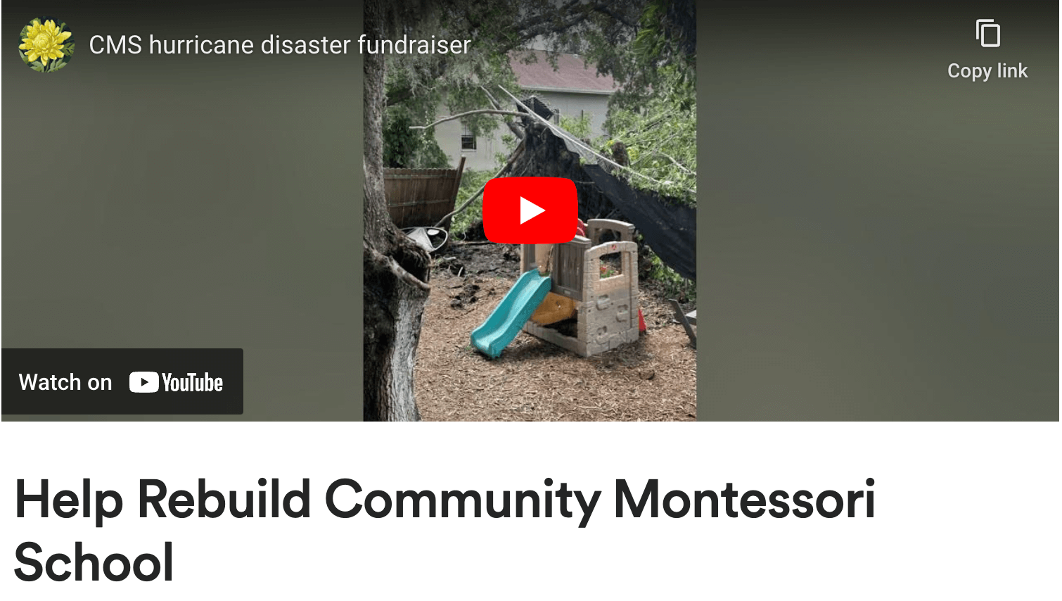 Phonological awareness and phonemic awareness are about the sounds in spoken language