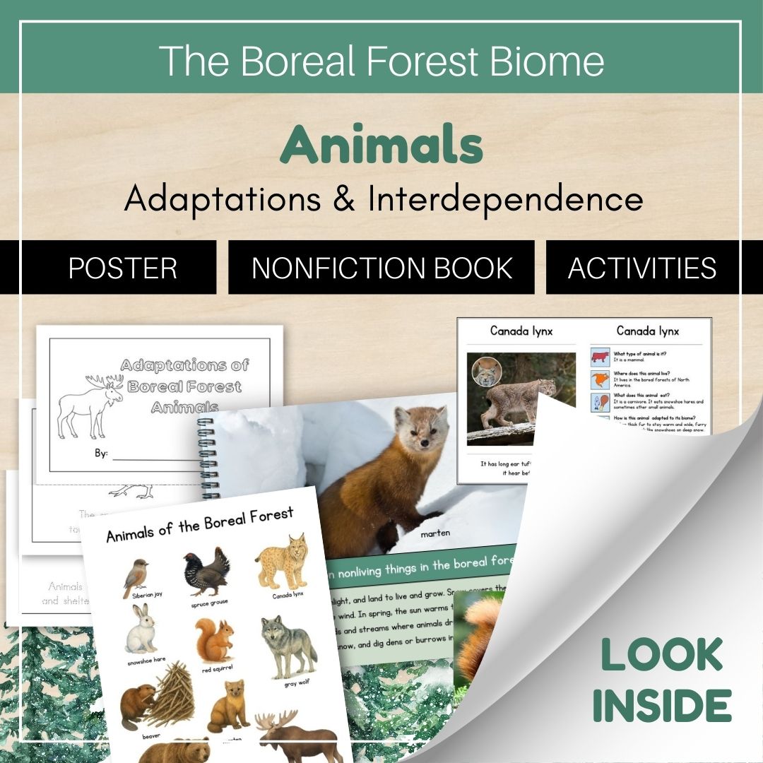 Thumbnails- Boreal Forest Biome Look Inside- Animals