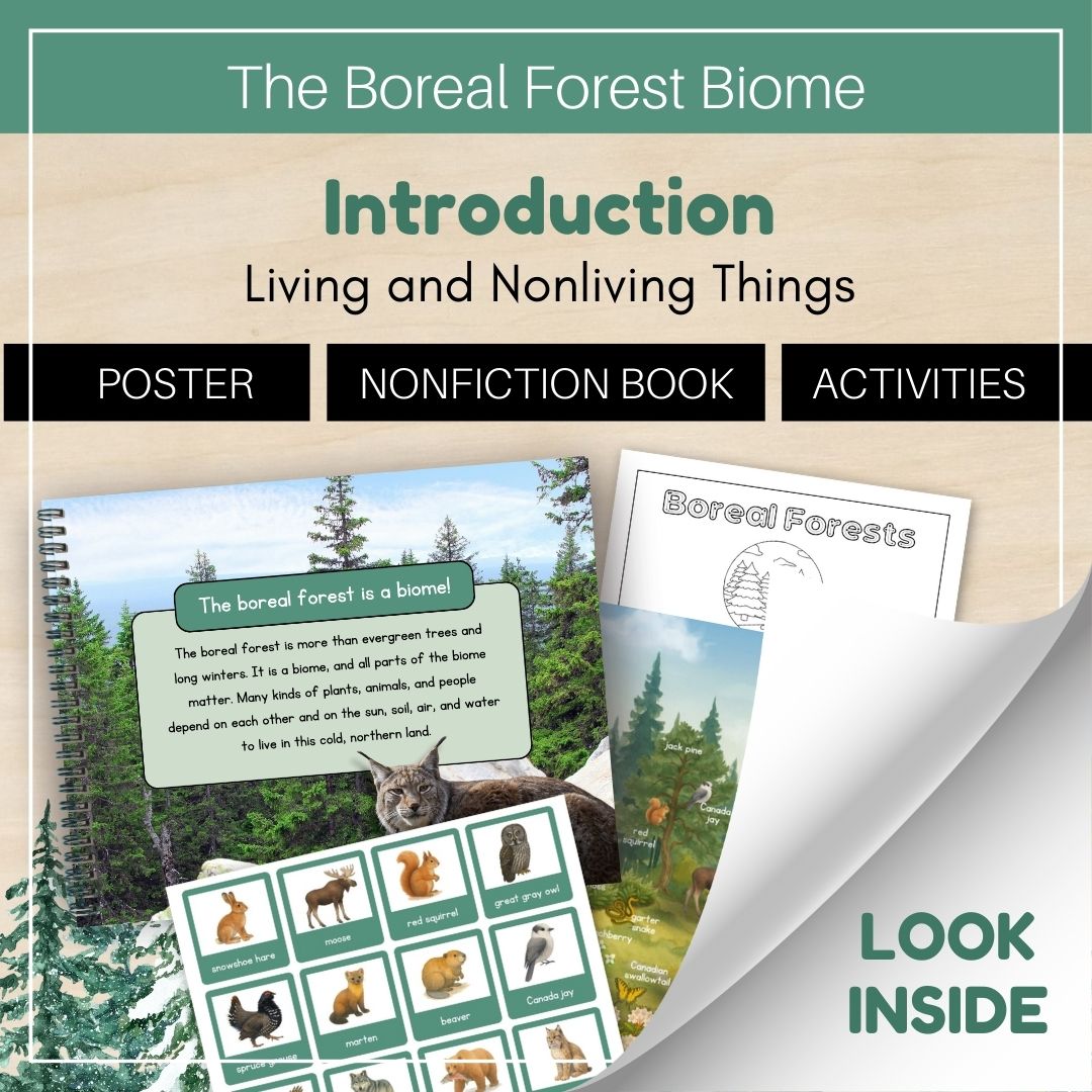 Thumbnails- Boreal Forest Biome Look Inside- Introduction