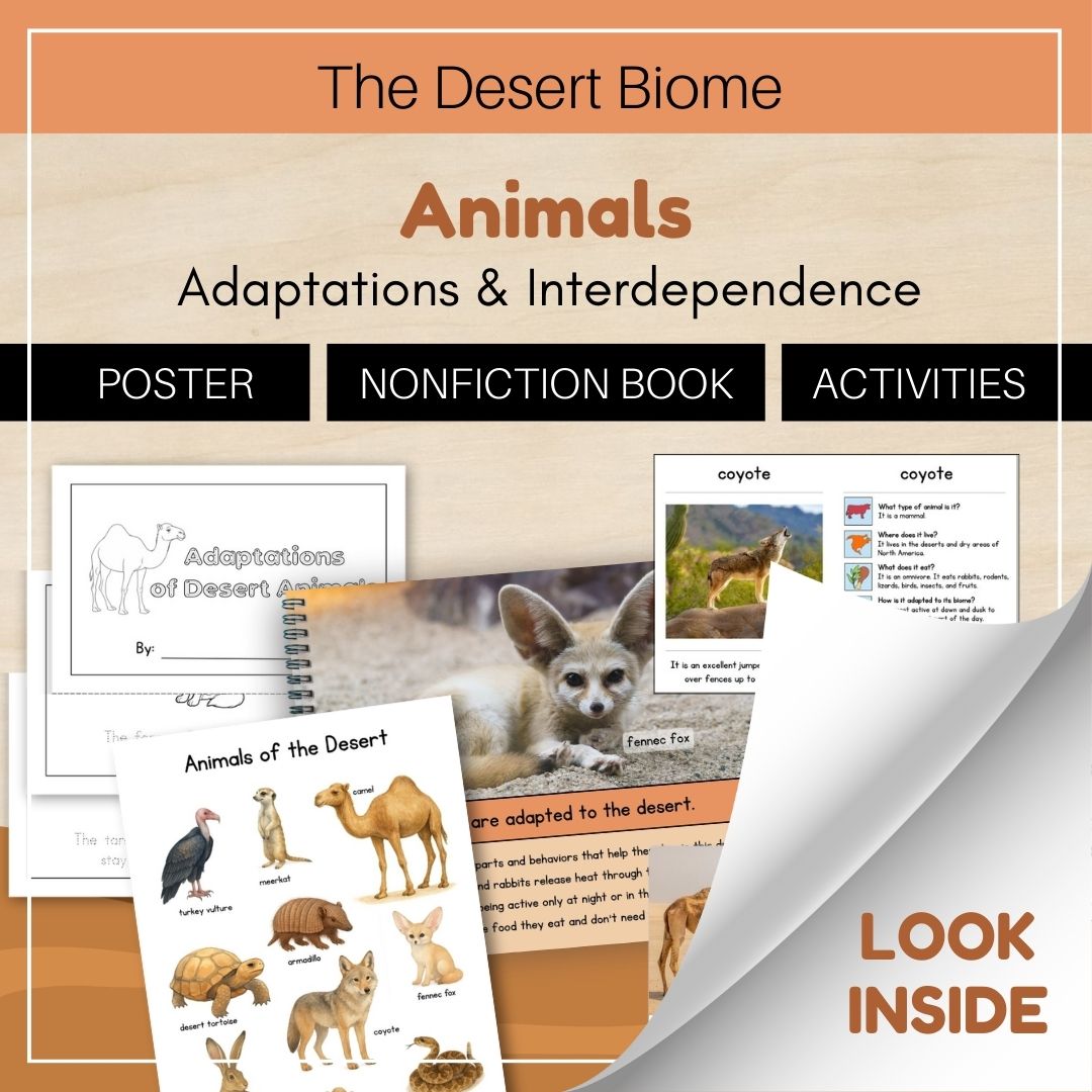 Thumbnails- Desert Biome Look Inside- Animals