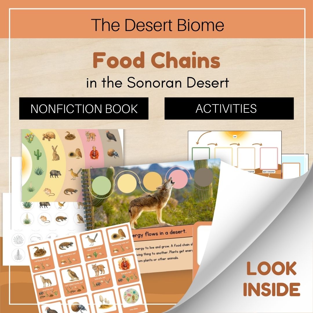 Thumbnails- Desert Biome Look Inside- Food Chains