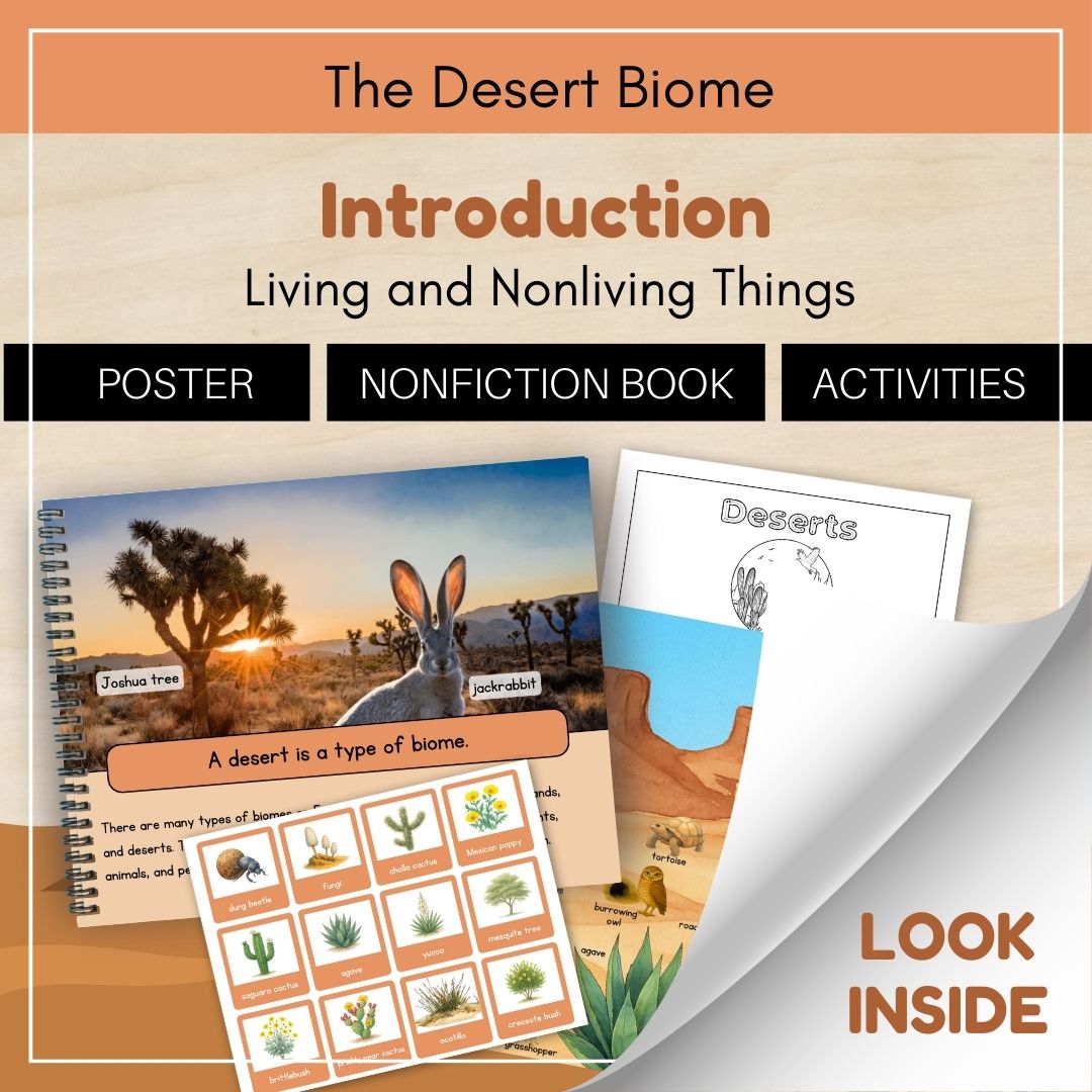 Thumbnails- Desert Biome Look Inside- Introduction