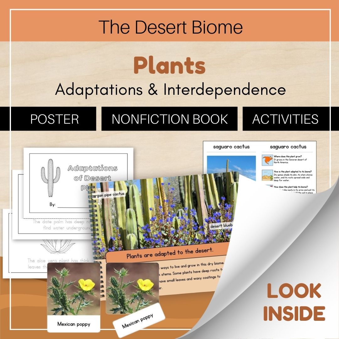 Thumbnails- Desert Biome Look Inside- Plants