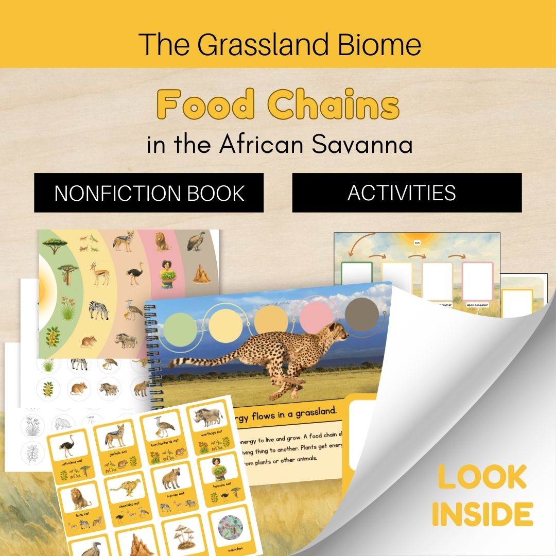 Thumbnails- Grassland Biome Look Inside- Food Chains